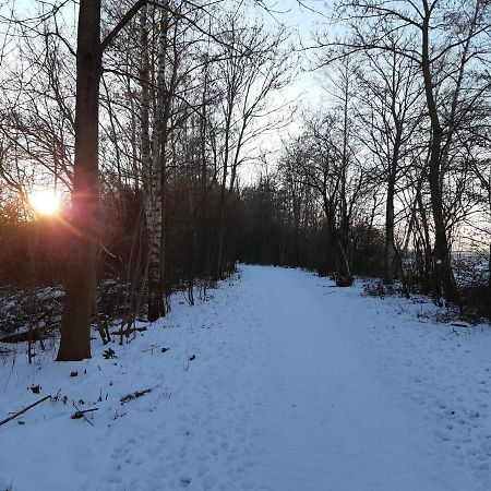 Vakantiehuis Aan Het Bos - Gelegen Aan De Tulpenroute Bant Ngoại thất bức ảnh