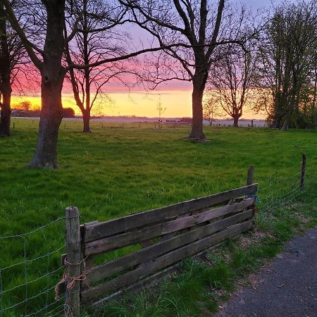 Vakantiehuis Aan Het Bos - Gelegen Aan De Tulpenroute Bant Ngoại thất bức ảnh