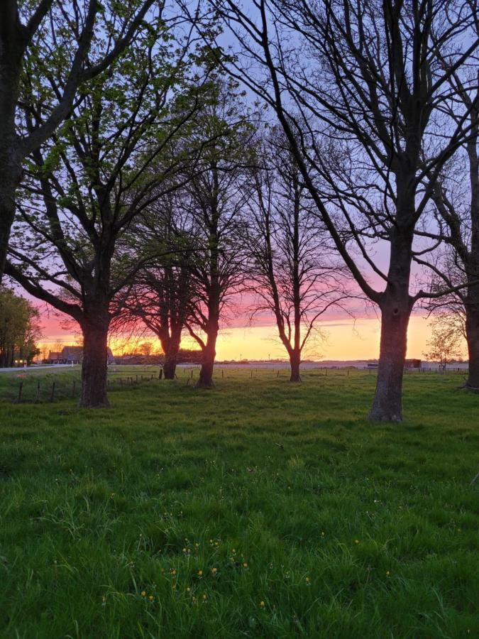 Vakantiehuis Aan Het Bos - Gelegen Aan De Tulpenroute Bant Ngoại thất bức ảnh