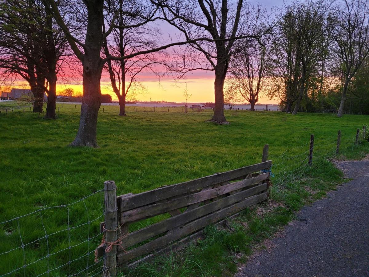 Vakantiehuis Aan Het Bos - Gelegen Aan De Tulpenroute Bant Ngoại thất bức ảnh